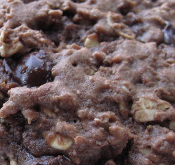 Brownie Oat Cookies