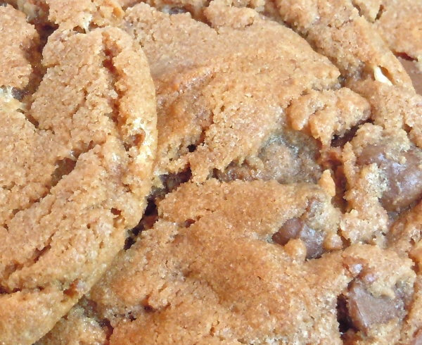 Malt Cookies