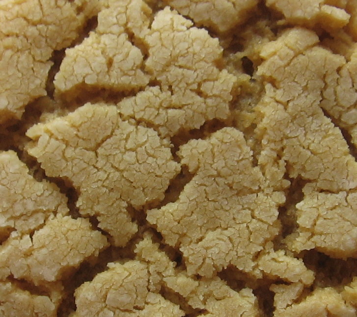 Peanut Butter Crinkle Cookies