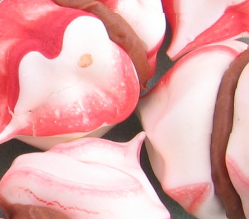 Peppermint Meringues With Choc Ganache Filling